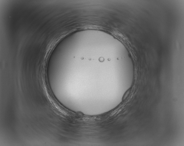 X0000074310049200608251015