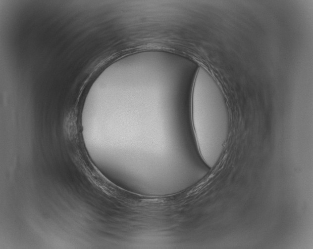 X0000074310050200608251015