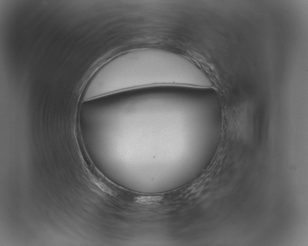 X0000074310051200608251015