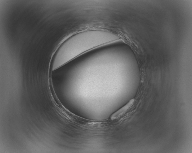 X0000074310052200608251015