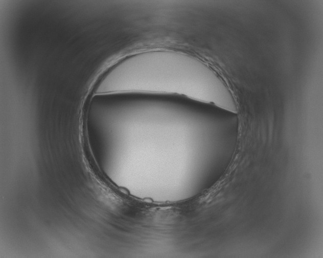 X0000074310054200608251015