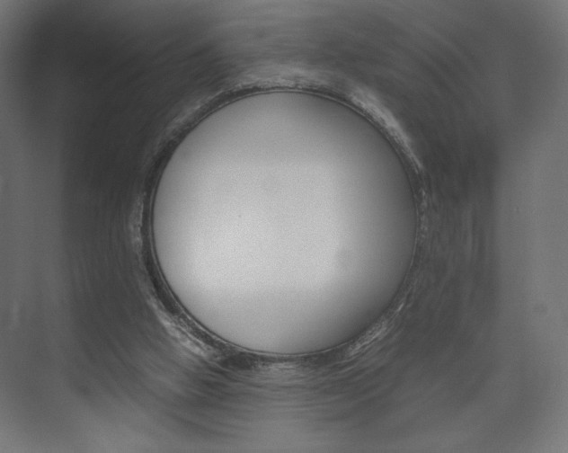 X0000074310058200608251015