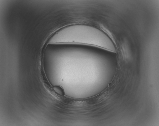 X0000074310059200608251015