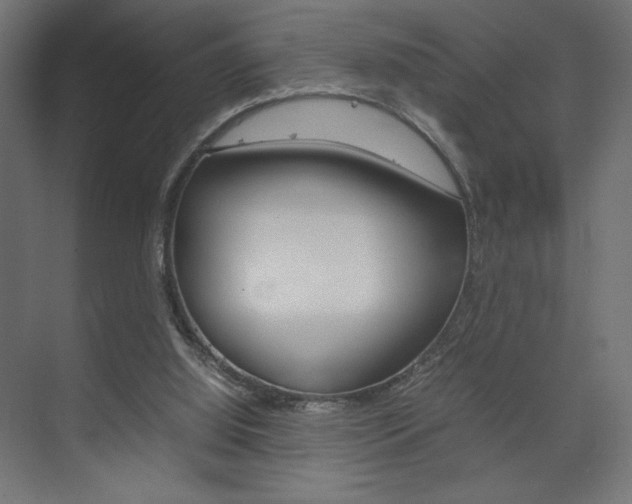 X0000074310060200608251015