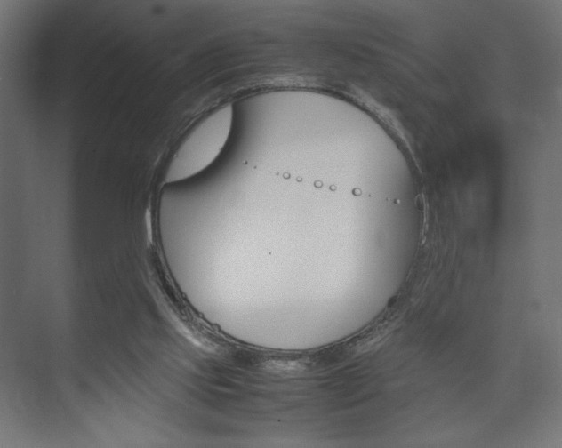 X0000074310061200608251015