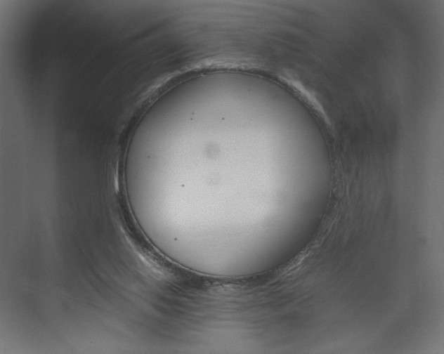X0000074310062200608251015