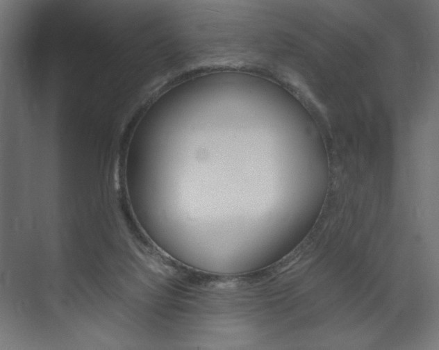 X0000074310068200608251015
