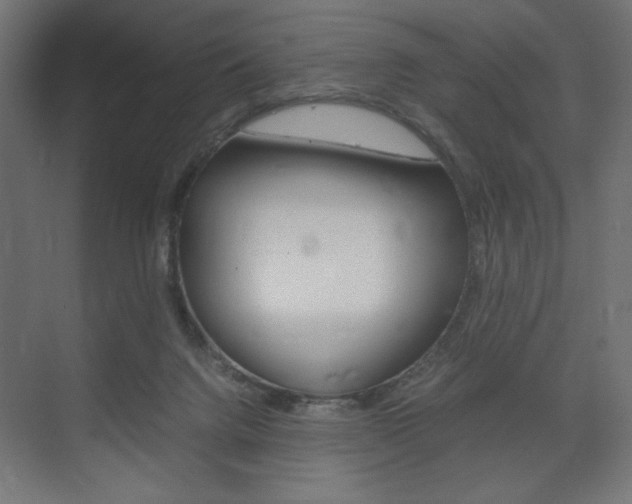 X0000074310072200608251015