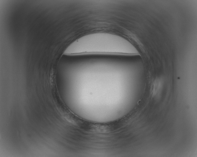 X0000074310073200608251015