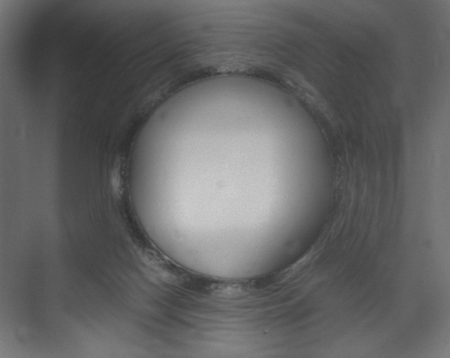 X0000074310074200608251015