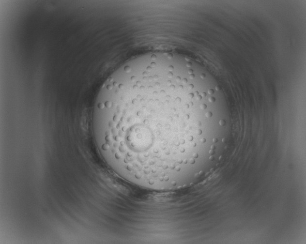 X0000074310078200608251015