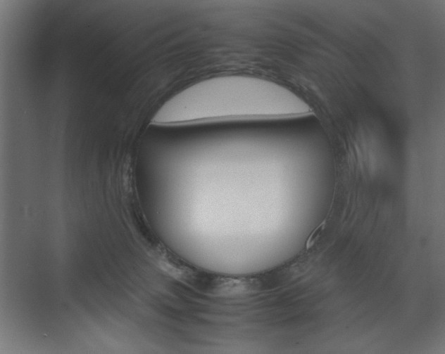 X0000074310083200608251016
