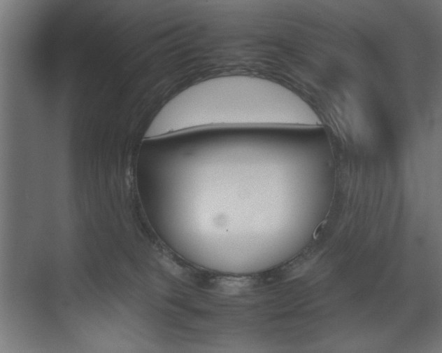 X0000074310085200608251016