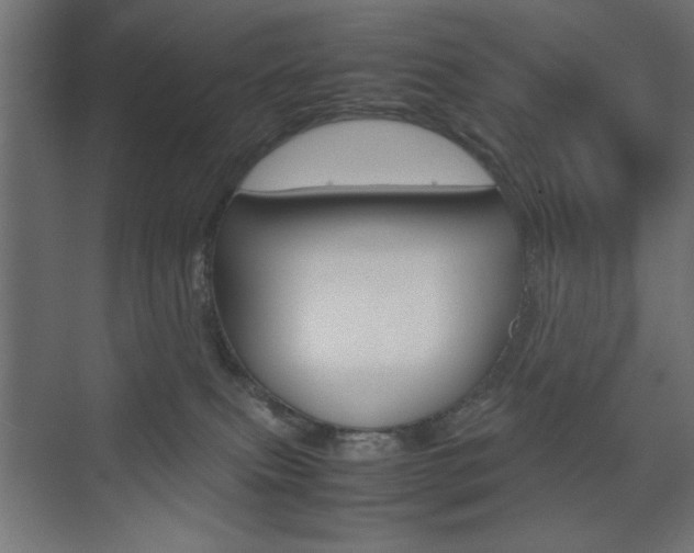 X0000074310087200608251016