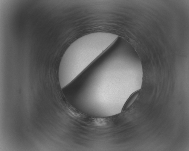X0000074310091200608251016