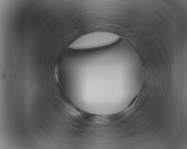 X0000074310094200608251016