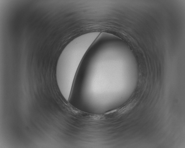 X0000074310096200608251016