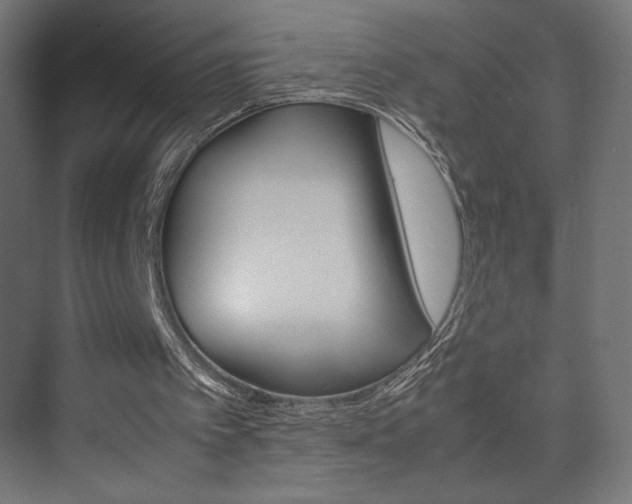 X0000074310097200608251015
