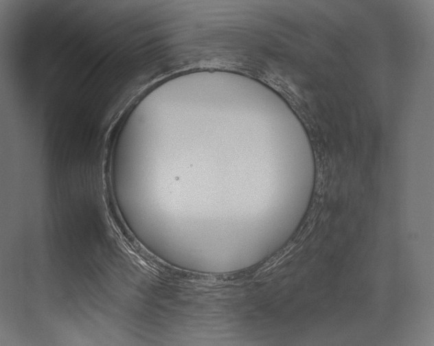 X0000074310098200608251015