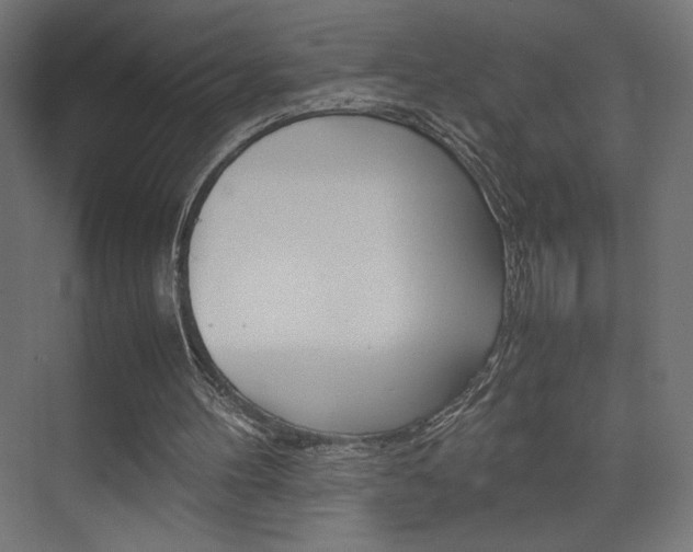 X0000074310100200608251015
