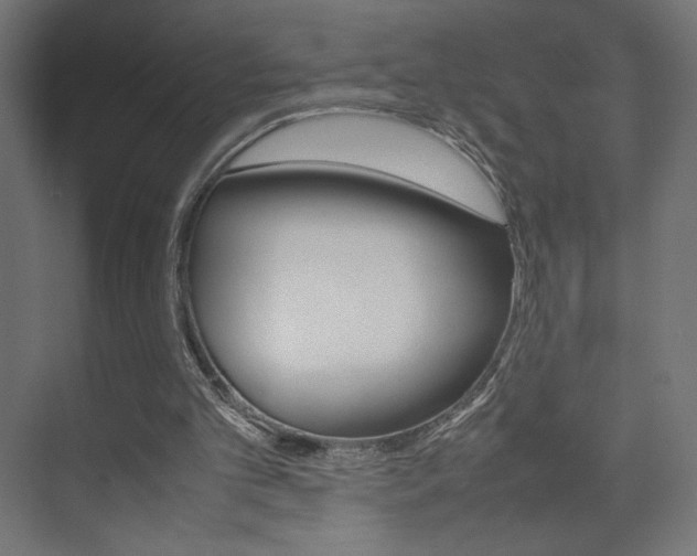 X0000074310101200608251015