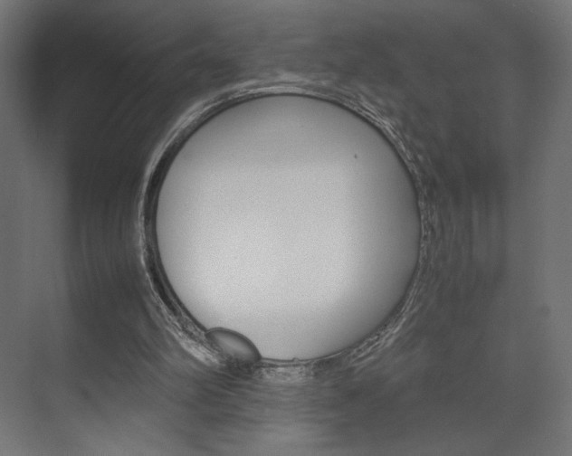 X0000074310102200608251015