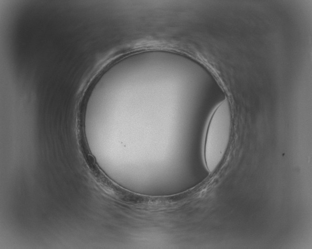 X0000074310103200608251015