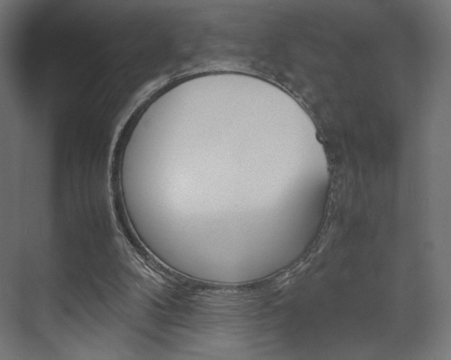 X0000074310104200608251015
