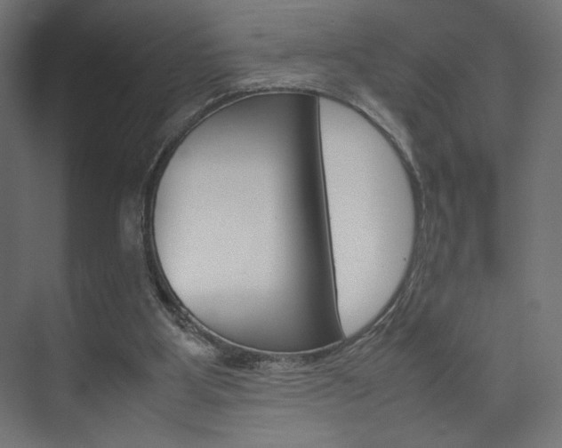 X0000074310107200608251015