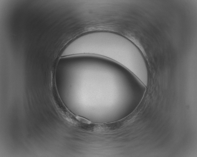 X0000074310109200608251015