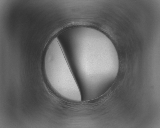 X0000074310111200608251015