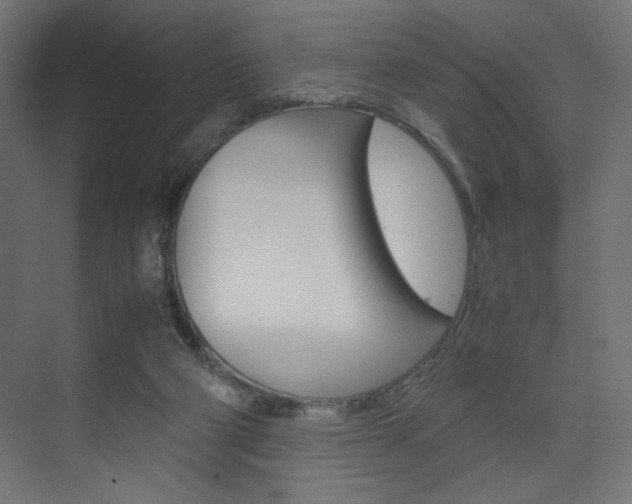 X0000074310114200608251015