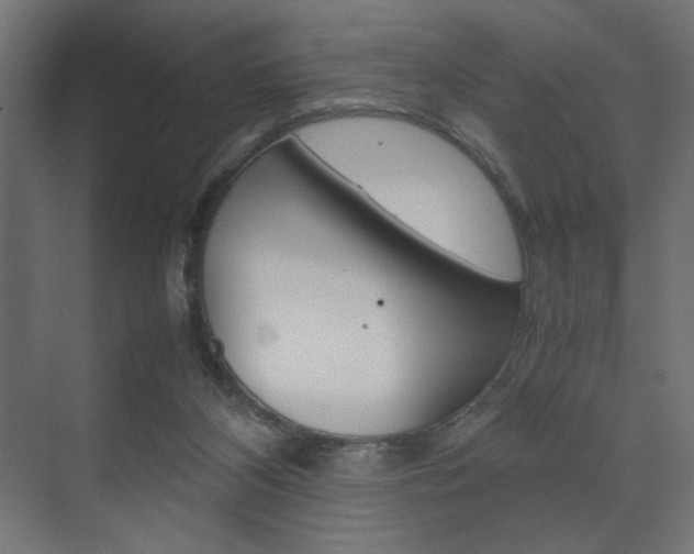 X0000074310116200608251015