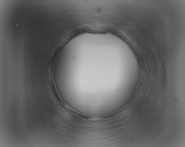 X0000074310117200608251015