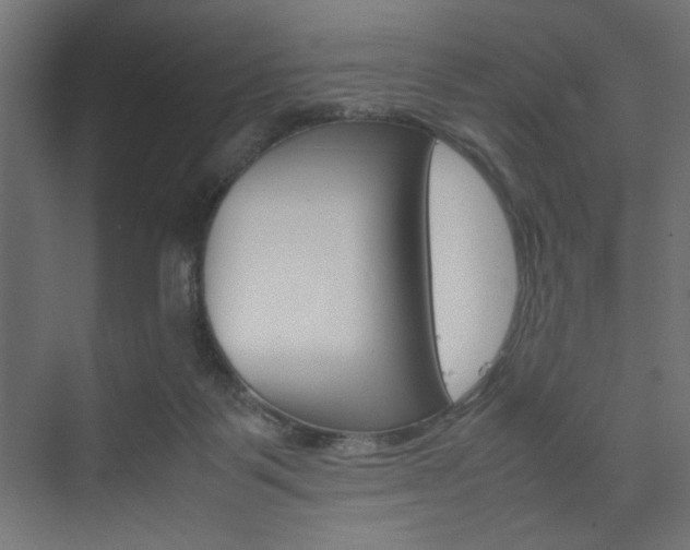 X0000074310123200608251015