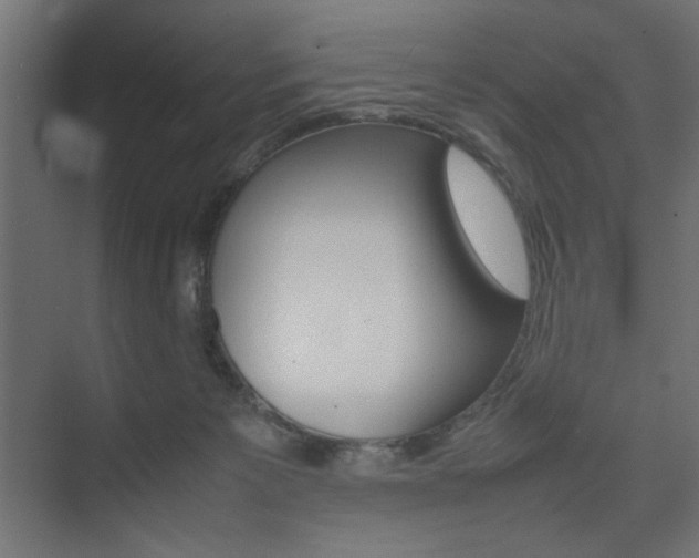 X0000074310125200608251014