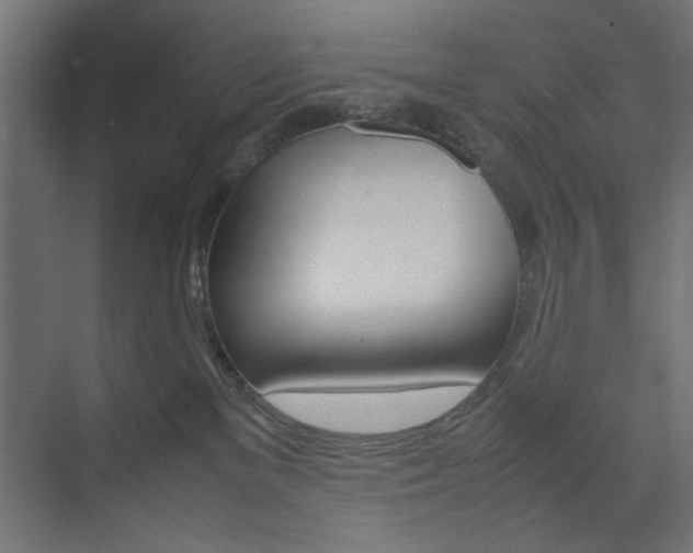 X0000074310137200608251014