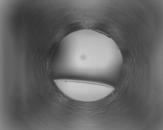 X0000074310139200608251014
