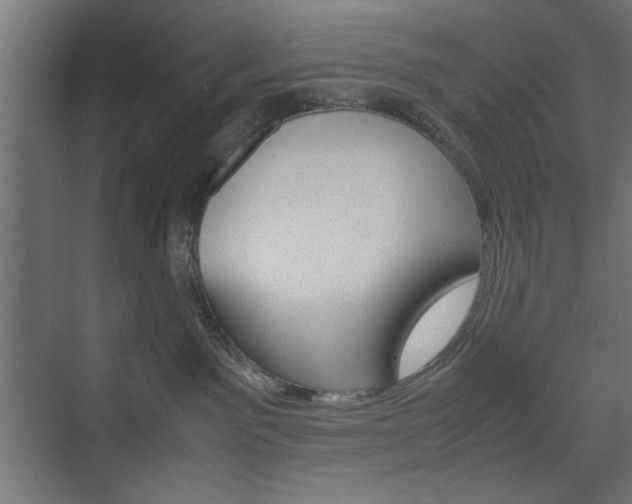 X0000074310141200608251014