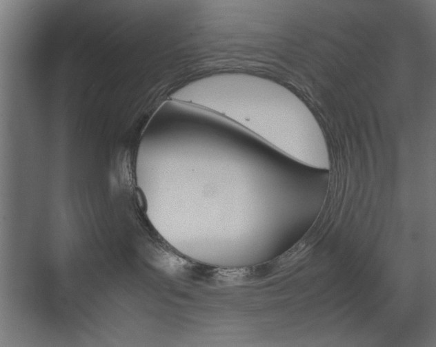 X0000074310143200608251014