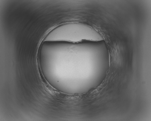 X0000074310147200608251013