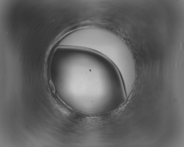 X0000074310150200608251013