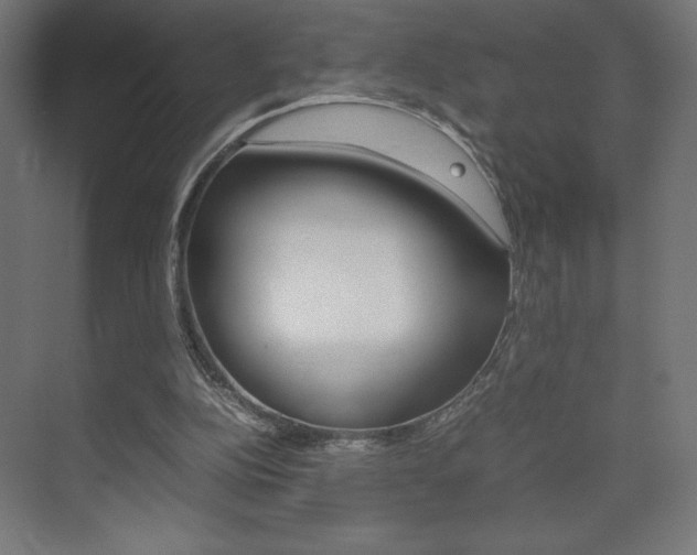 X0000074310152200608251013