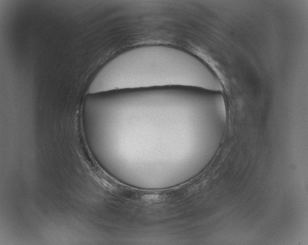X0000074310153200608251013