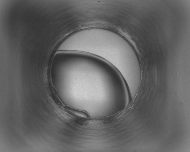 X0000074310154200608251014