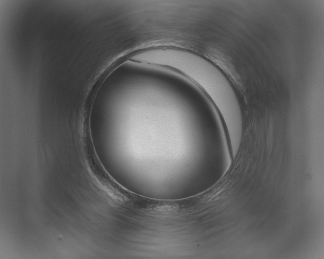X0000074310156200608251014