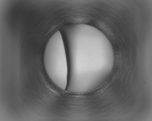X0000074310165200608251014
