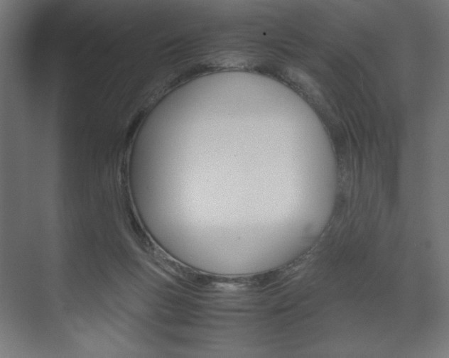 X0000074310167200608251014