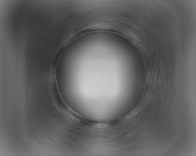 X0000074310168200608251014