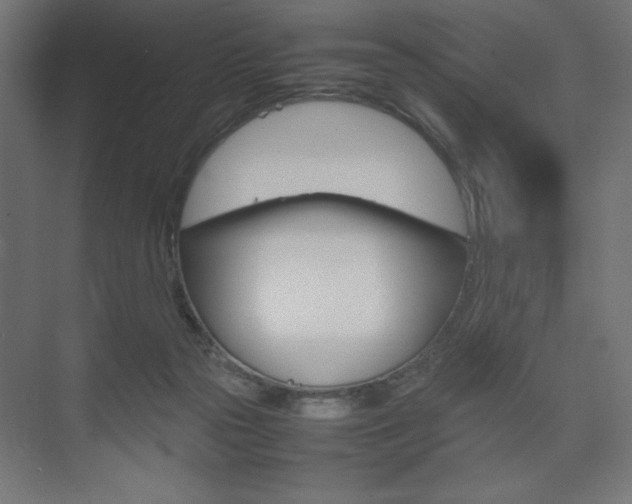 X0000074310169200608251014